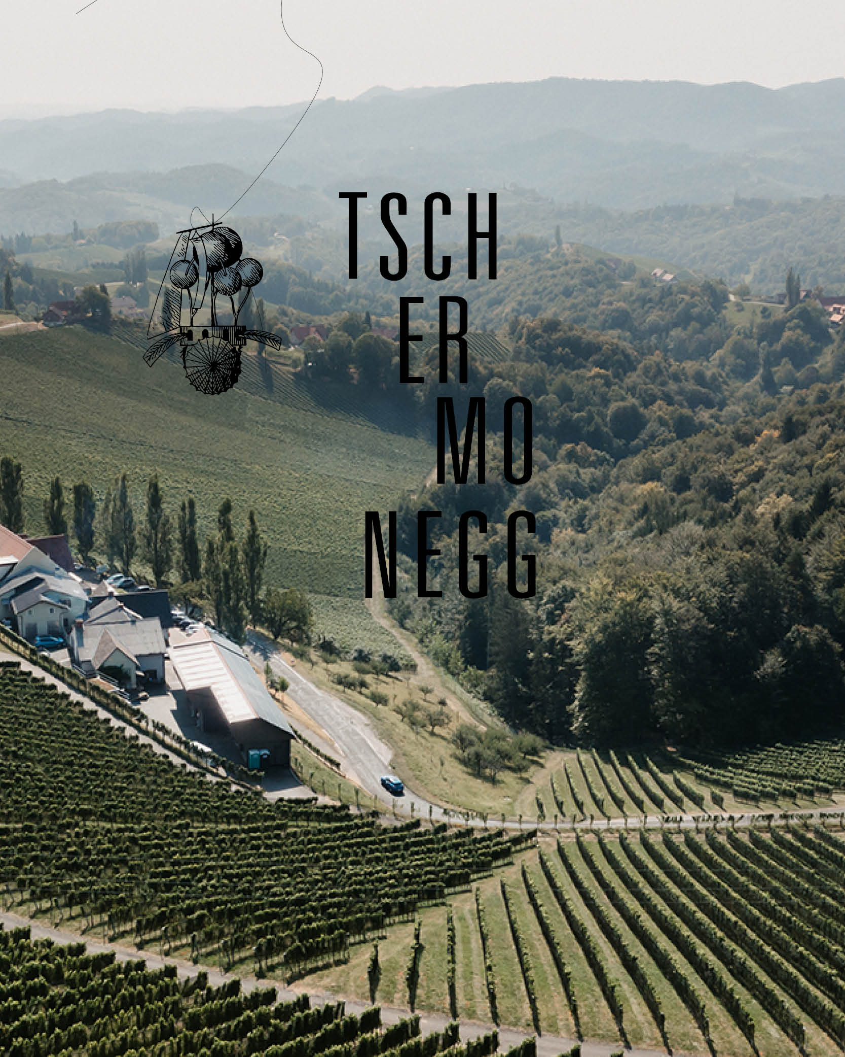 Winery Tschermonegg